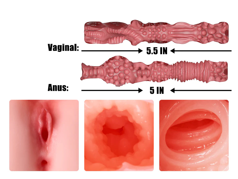 Texture interne 3D des canaux du masturbateur futa en TPE