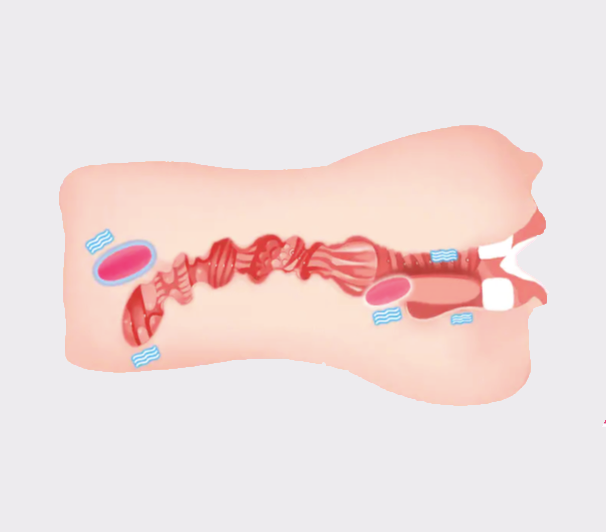 Bouche Suceuse - Chauffante et Vibrante