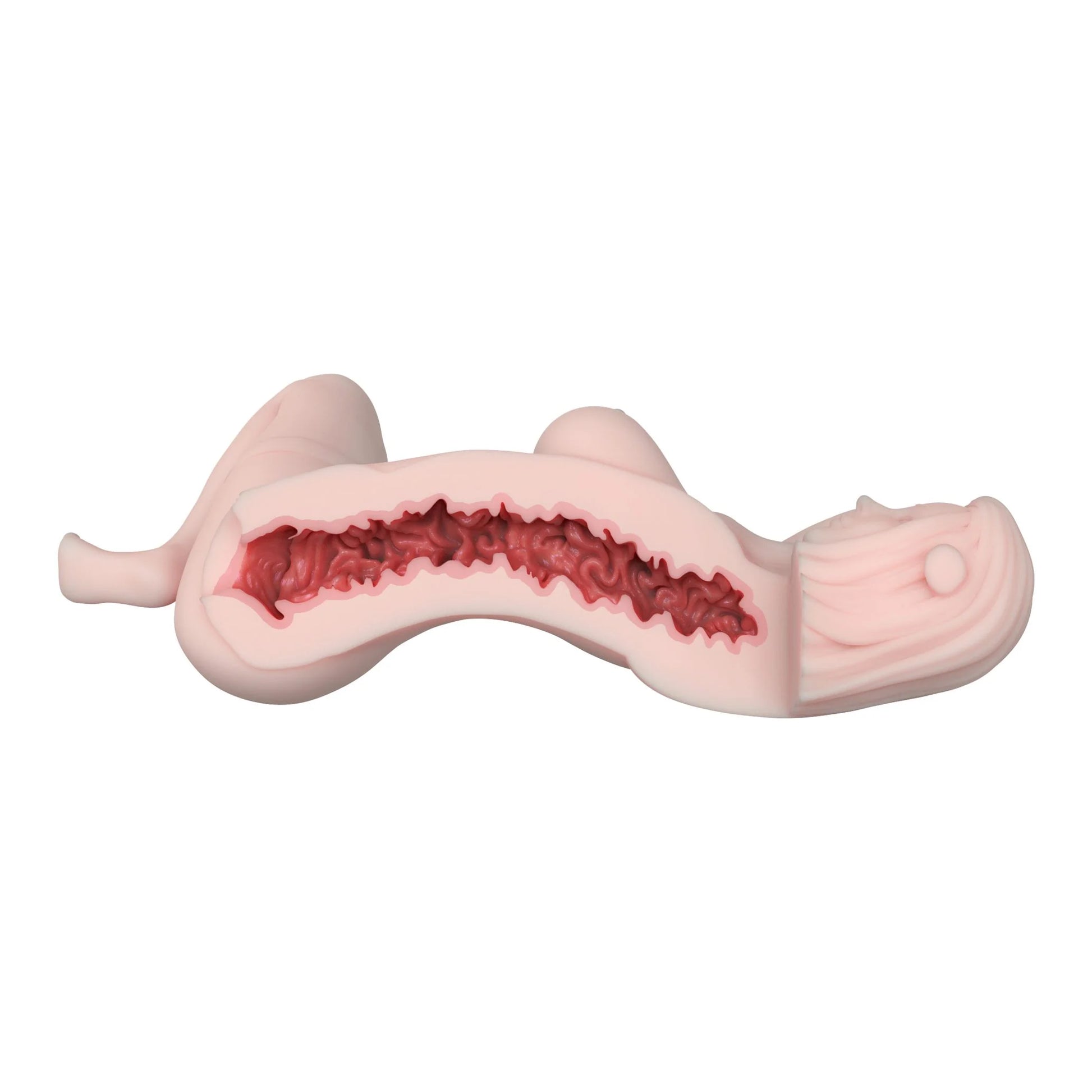 Photo des dimensions de la sex doll en silicone Senzawa Mai indiquant un format de 20 cm x 13,5 cm