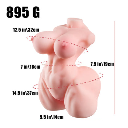 Dimensions du masturbateur buste réaliste : 19 cm de long sur 14 cm de large