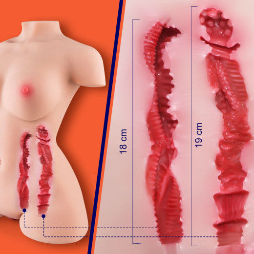 Masturbateur buste réaliste avec double stimulation et texture réaliste