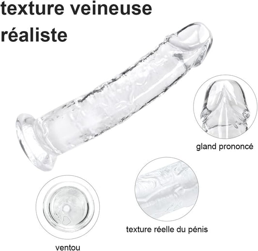 8. Gode transparent vu de profil mettant en valeur sa courbure
