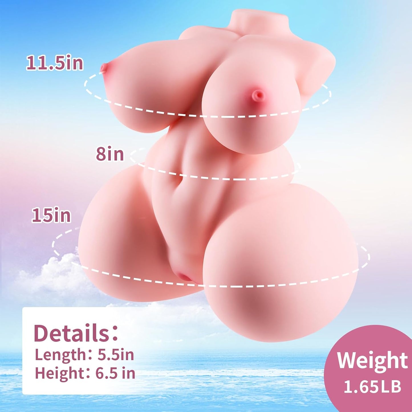 Dimensions de la mini poupée sexuelle 750 g mesurées avec règle graduée
