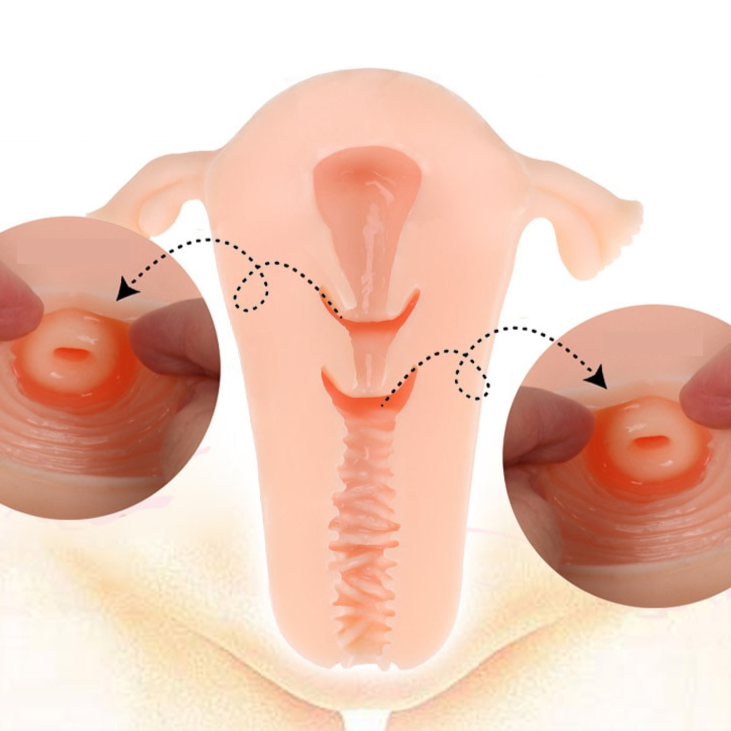 Masturbateur Homme - Utérus xray intérieur
